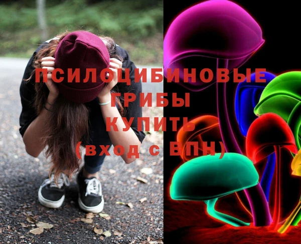 метадон Белокуриха