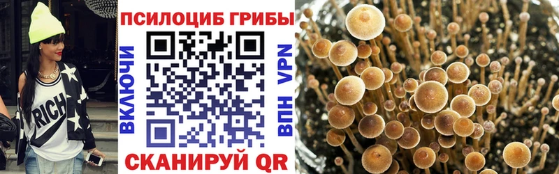 сайты даркнета какой сайт Богородицк Галлюциногенные грибы MAGIC MUSHROOMS